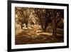 Summer Stroll I-Alan Hausenflock-Framed Photographic Print