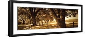 Summer Stroll Panel II-Alan Hausenflock-Framed Photographic Print