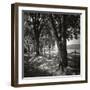 Summer Stroll Square II BW-Alan Hausenflock-Framed Photographic Print