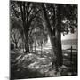 Summer Stroll Square II BW-Alan Hausenflock-Mounted Photographic Print