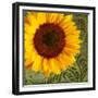 Summer Sun I-Tina Lavoie-Framed Giclee Print