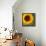 Summer Sun I-Tina Lavoie-Framed Stretched Canvas displayed on a wall