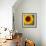 Summer Sun I-Tina Lavoie-Framed Giclee Print displayed on a wall