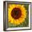 Summer Sun I-Tina Lavoie-Framed Giclee Print