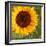 Summer Sun I-Tina Lavoie-Framed Giclee Print