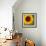 Summer Sun I-Tina Lavoie-Framed Giclee Print displayed on a wall