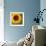 Summer Sun I-Tina Lavoie-Framed Giclee Print displayed on a wall