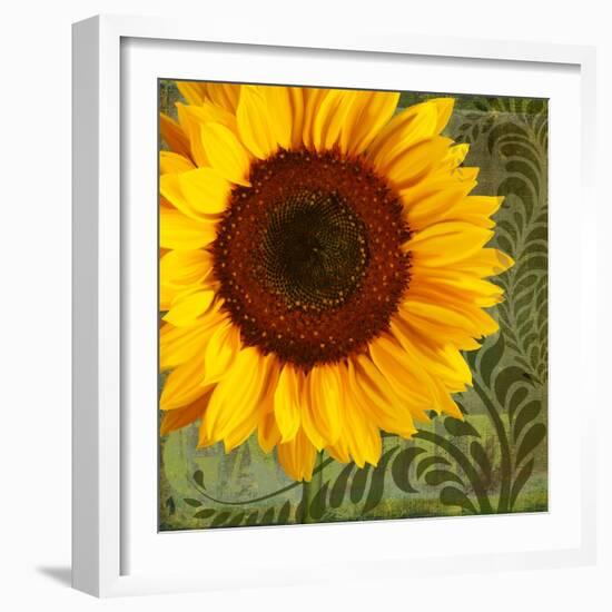 Summer Sun I-Tina Lavoie-Framed Giclee Print