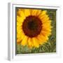 Summer Sun I-Tina Lavoie-Framed Giclee Print