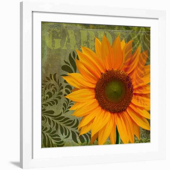 Summer Sun II-Tina Lavoie-Framed Giclee Print