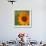 Summer Sun II-Tina Lavoie-Framed Giclee Print displayed on a wall