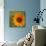 Summer Sun II-Tina Lavoie-Mounted Giclee Print displayed on a wall