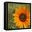 Summer Sun II-Tina Lavoie-Framed Stretched Canvas