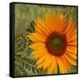 Summer Sun II-Tina Lavoie-Framed Stretched Canvas