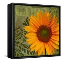 Summer Sun II-Tina Lavoie-Framed Stretched Canvas
