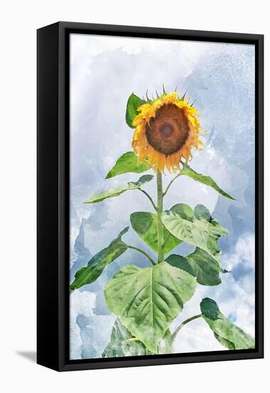 Summer Sunflower-Kali Wilson-Framed Stretched Canvas