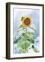 Summer Sunflower-Kali Wilson-Framed Art Print