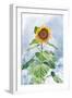 Summer Sunflower-Kali Wilson-Framed Art Print