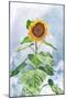 Summer Sunflower-Kali Wilson-Mounted Art Print