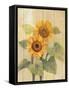 Summer Sunflowers I on Barn Board-Albena Hristova-Framed Stretched Canvas