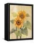 Summer Sunflowers I on Barn Board-Albena Hristova-Framed Stretched Canvas