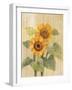 Summer Sunflowers I on Barn Board-Albena Hristova-Framed Art Print