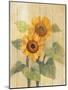 Summer Sunflowers I on Barn Board-Albena Hristova-Mounted Art Print