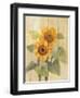 Summer Sunflowers I on Barn Board-Albena Hristova-Framed Art Print