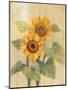 Summer Sunflowers I on Barn Board-Albena Hristova-Mounted Art Print