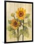 Summer Sunflowers II on Barnboard-Albena Hristova-Framed Art Print