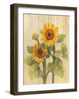 Summer Sunflowers II on Barnboard-Albena Hristova-Framed Art Print