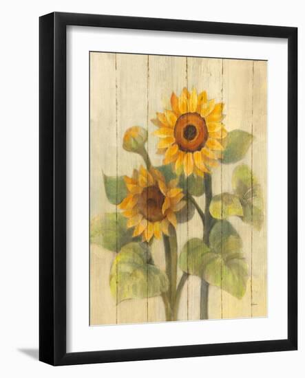 Summer Sunflowers II on Barnboard-Albena Hristova-Framed Art Print