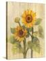 Summer Sunflowers II on Barnboard-Albena Hristova-Stretched Canvas