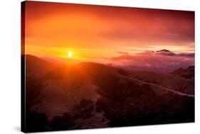 Summer Sunrise and Fog, Moody East Bay Hills,  Northern California-Vincent James-Stretched Canvas