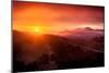 Summer Sunrise and Fog, Moody East Bay Hills,  Northern California-Vincent James-Mounted Photographic Print