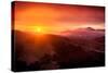 Summer Sunrise and Fog, Moody East Bay Hills,  Northern California-Vincent James-Stretched Canvas