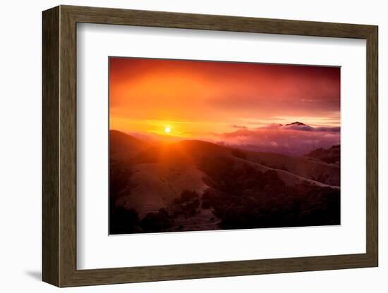 Summer Sunrise and Fog, Moody East Bay Hills,  Northern California-Vincent James-Framed Photographic Print