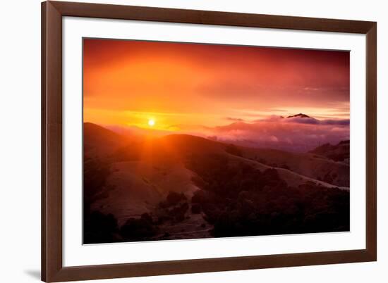 Summer Sunrise and Fog, Moody East Bay Hills,  Northern California-Vincent James-Framed Photographic Print