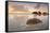Summer Sunrise at Lighthouse Beach Port Macquarie-lovleah-Framed Stretched Canvas