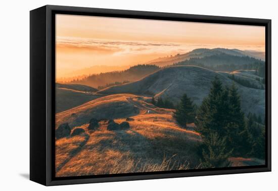 Summer Sunset at Ridgecrest Mount Tamalpais, Northern California-Vincent James-Framed Stretched Canvas