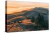 Summer Sunset at Ridgecrest Mount Tamalpais, Northern California-Vincent James-Stretched Canvas