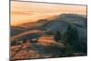 Summer Sunset at Ridgecrest Mount Tamalpais, Northern California-Vincent James-Mounted Photographic Print