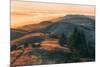 Summer Sunset at Ridgecrest Mount Tamalpais, Northern California-Vincent James-Mounted Photographic Print