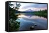 Summer Sunset at Trillium Lake, Oregon-Vincent James-Framed Stretched Canvas