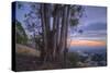 Summer Sunset from Oakland Hills-Vincent James-Stretched Canvas