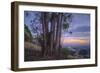 Summer Sunset from Oakland Hills-Vincent James-Framed Photographic Print