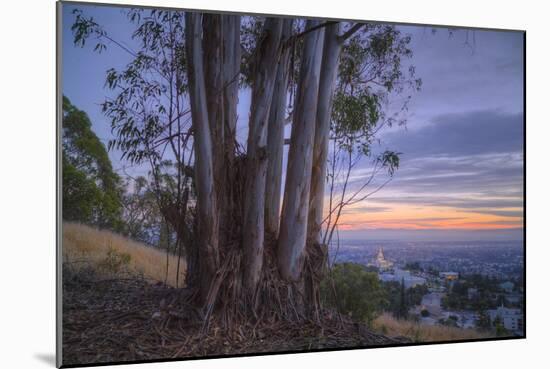 Summer Sunset from Oakland Hills-Vincent James-Mounted Photographic Print