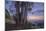 Summer Sunset from Oakland Hills-Vincent James-Mounted Photographic Print