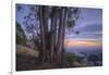 Summer Sunset from Oakland Hills-Vincent James-Framed Photographic Print