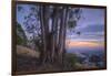 Summer Sunset from Oakland Hills-Vincent James-Framed Photographic Print